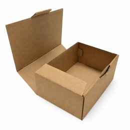 Scatola fustellata ecommerce automontante 25x16x10 cm avana/bianca