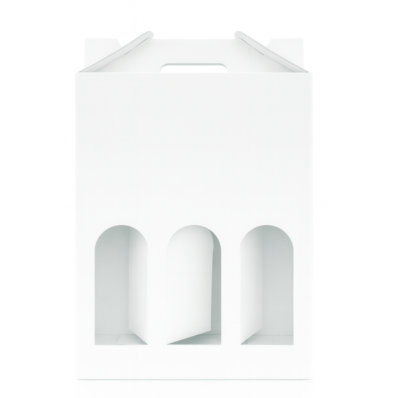 Scatola per bottiglie di vino confezione da 3 x 750 ml bottiglia BORDOLESE EU 40 x 26,5 x 8,6 cm